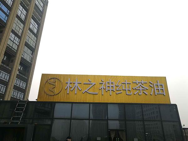 樓頂發(fā)光字 (4)
