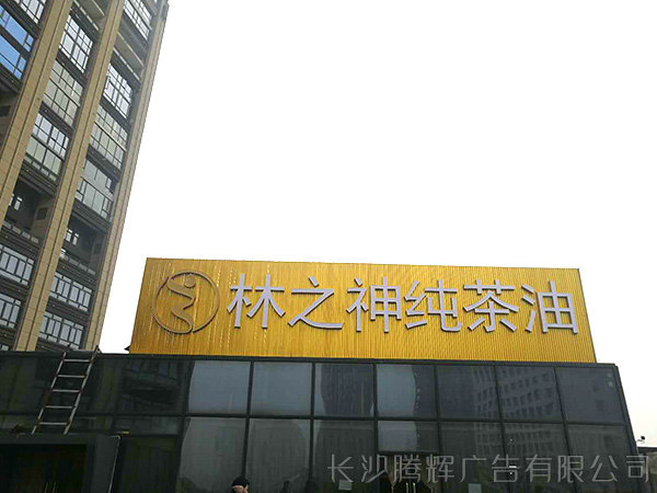 墻面樓宇發光字 (15)