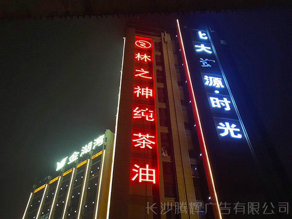 博物館 (5)